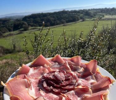Tula House | Agriturismo Sa Pigalva
