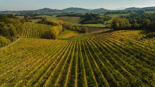 Chiusi House | Agriturismo San Gregorio