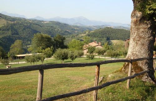 Monteluiano House | Agriturismo Semidimela