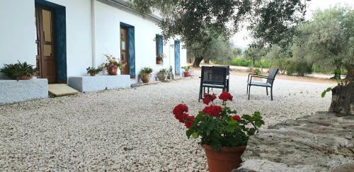 Dorgali House | Agriturismo Su Barcu