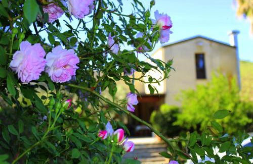 Alcamo House | Agriturismo Tarantola