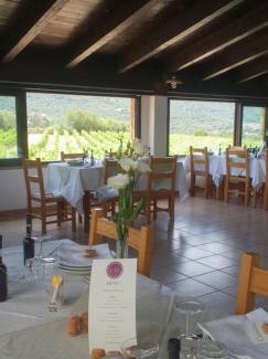 Monti House | Agriturismo Vermentino