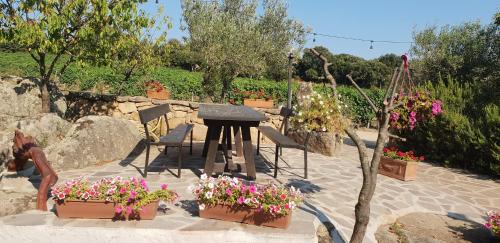 Monti House | Agriturismo Vermentino