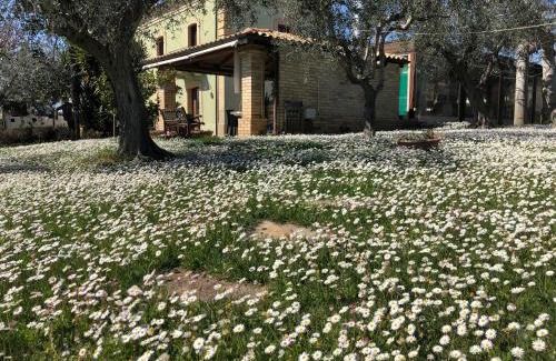 Vetiche I House | Agriturismo Villa Vetiche