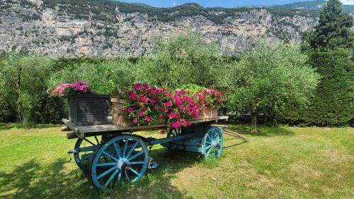 Dro House | Agriturismo Vin e Amor