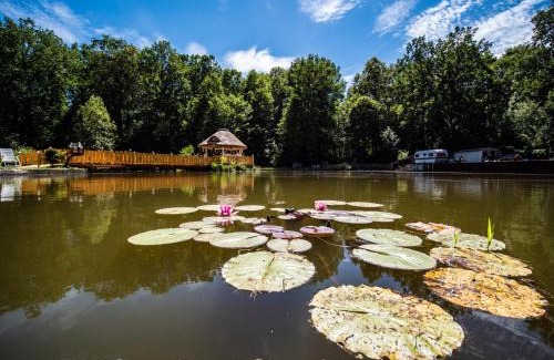 Gryfow Slaski House | Agromurena