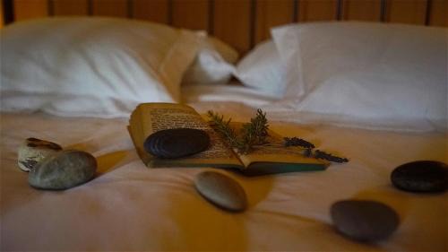 Esporles House | Agroturismo Can Torna AG178