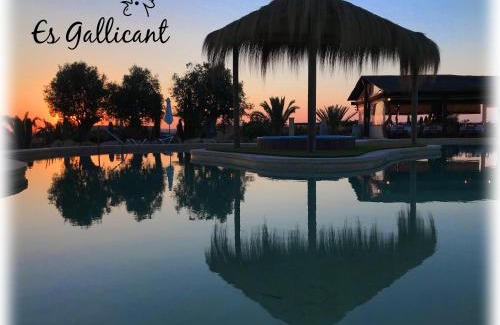 Campos House | Agroturismo Es Gallicant