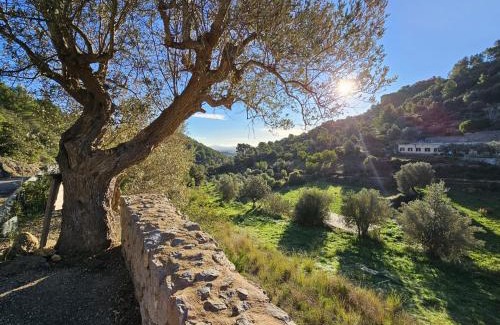 Alaro House | Agroturismo Finca Can Sec