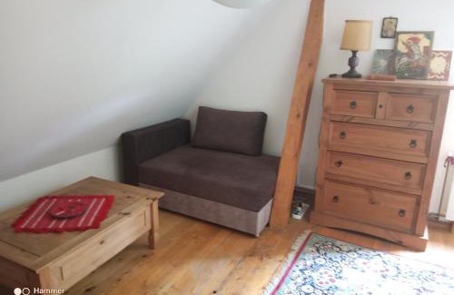 gmina Krempna House | Agroturystyka Salamandra pokój nr 1