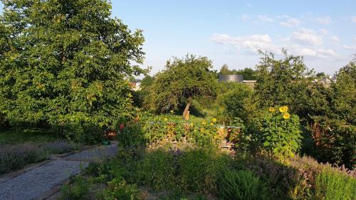 gmina Pacanow House | Agroturystyka u Joli