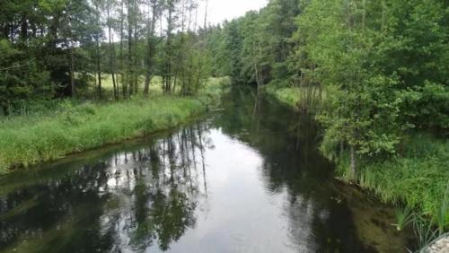gmina Karsin House | Agroturystyka u Wioli i Irka , domek u Ireny, spływy kajakowe