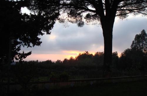 Salemi Bed & Breakfast | Ai Cipressi