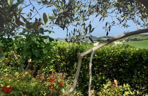 Monte Urano Bed & Breakfast | Ai Quattro Ulivi B&B