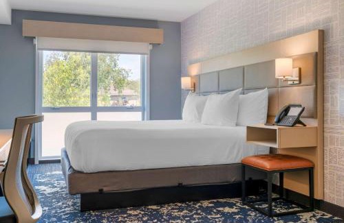 Northwest Berkeley Hotel | Aiden by Best Western Berkeley