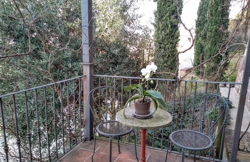 Grazzano Badoglio Apartment | Al Cedro Terrazza sul Monferrato con Idromassaggio