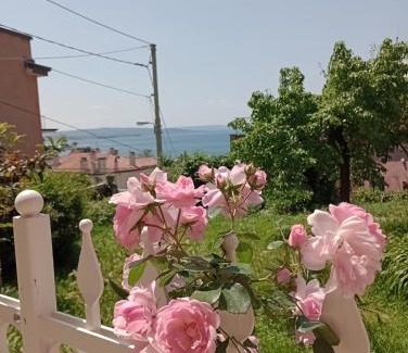 Roiano-Gretta-Barcola-Cologna-Scorcola House | al porticciolo