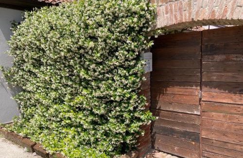 Comacchio House | AL RUDERINO