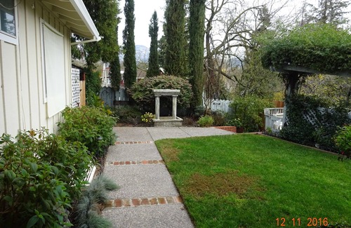 Alamo Cottage | Alamo Guesthouse Private and Secluded. Country living next to the city life.