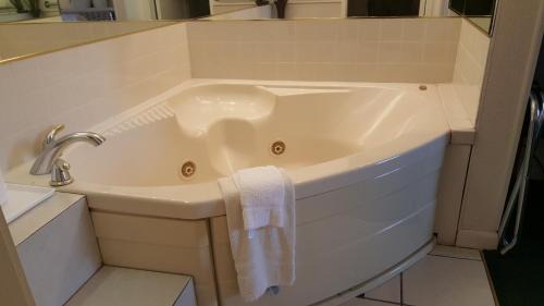 Gillette Hotel | Alamo Inn & Suites