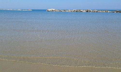 Tollo Apartment | Alba Marina Rooms