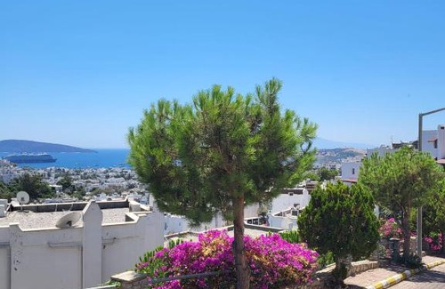 Bodrum Villa | Albatros sitesi Bodrum