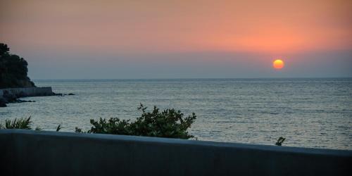 Samos House | Albatross House