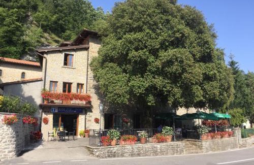 Chiusi della Verna Hotel | Albergo Bellavista
