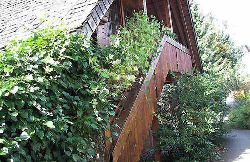 Huefingen Apartment | Albergo Natura by Interhome