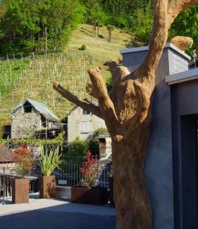 Gordola Hotel | Albergo Porta Verzasca