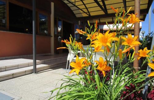 Senigallia Hotel | Albergo Primavera