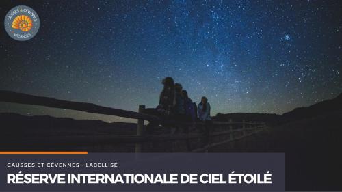 Sainte-Croix-Vallee-Francaise House | Alberguiere - Piscine chauffée - plancha - barbecue