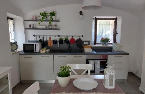 Cuneo House | Albero della vita
