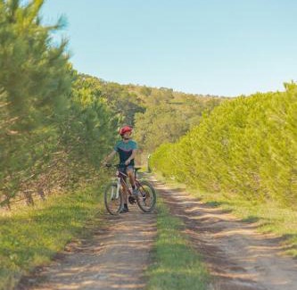 Vila do Bispo House | Aldeia da Pedralva - Slow Village