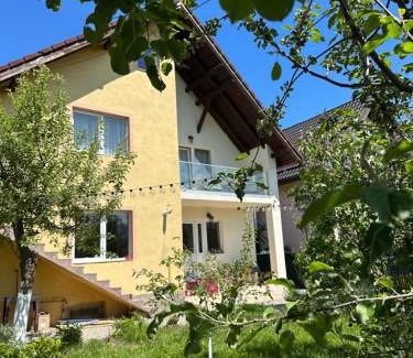Rasnov House | Aleeas CASA