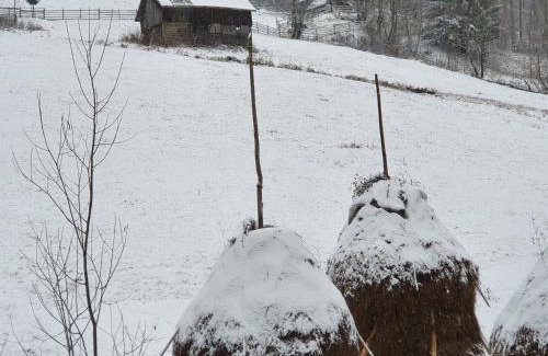 Moeciu de Sus House | ALEGRIA - MOIECIU DE SUS