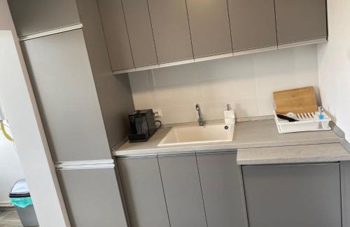 Pitesti Apartment | Alesandru apartament
