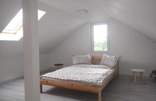 Busteni Apartment | Alex88