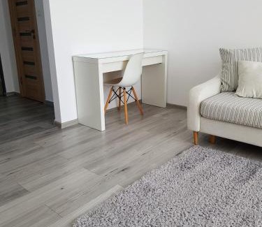 Tirgu Mures Apartment | Alexa Apartament