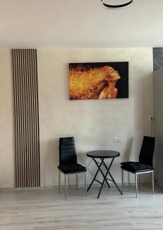 Tirgu Mures Apartment | Alexia apartment