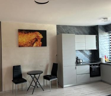 Tirgu Mures Apartment | Alexia apartment