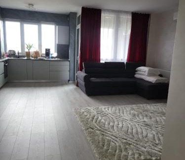 Tirgu Mures Apartment | Alexia apartment
