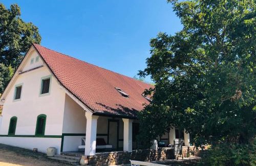Salfold House | Aligvár Vendégház