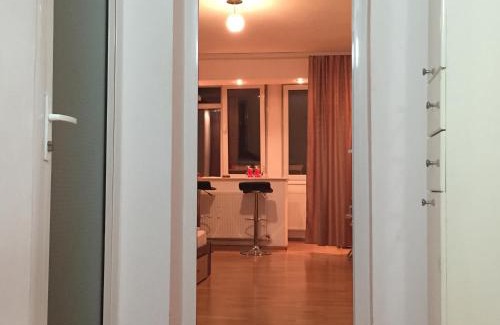 Galati Apartment | Alina Accommodation