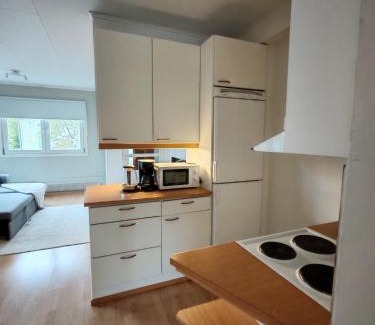 Ylitornio Apartment | Alkkula apartment