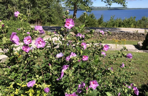Georgian Bluffs Cottage | All season spectacular water view cottage overlooking Georgian Bay.