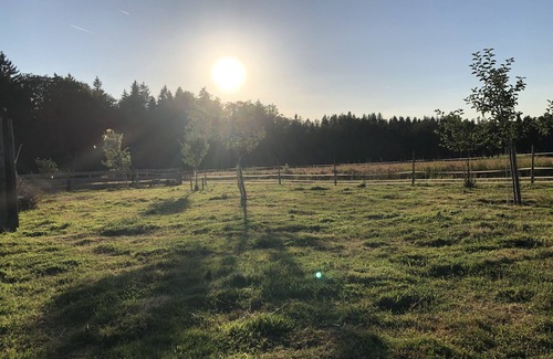 Unterallgau Apartment | Allgäu peace and serenity in the middle of nature, on a donkey farm