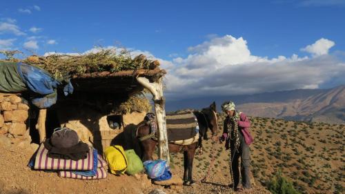 Tabant House | Alliance Berbère - Vallée d'Aït Bouguemez