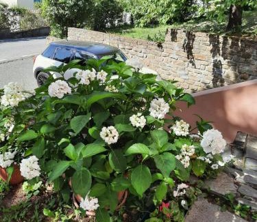 Casaleggio Boiro House | Alloggio il pino