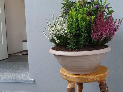 Canelli Apartment | Alloggio La Libellula